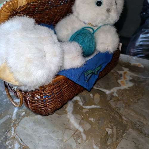 Basket with kittens new