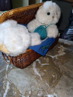 Basket with kittens new