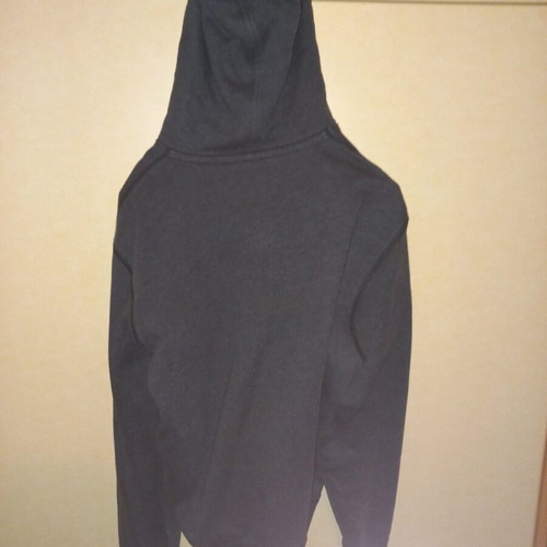 Replay sweatshirt gray, size L, like new