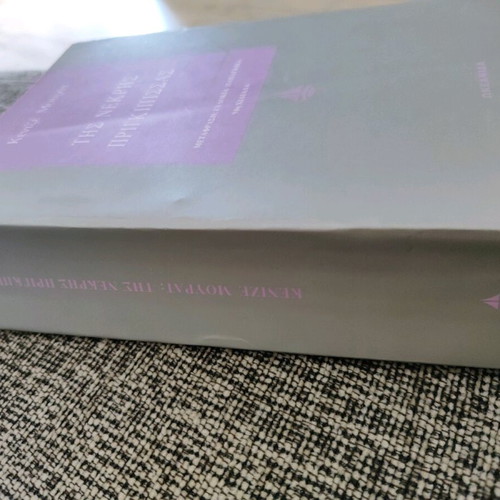 The Dead Princess used book