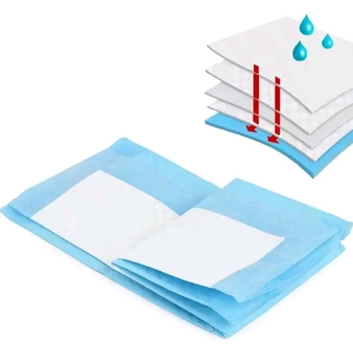 Absorbent pet leak diaper, pack of 10, single use
