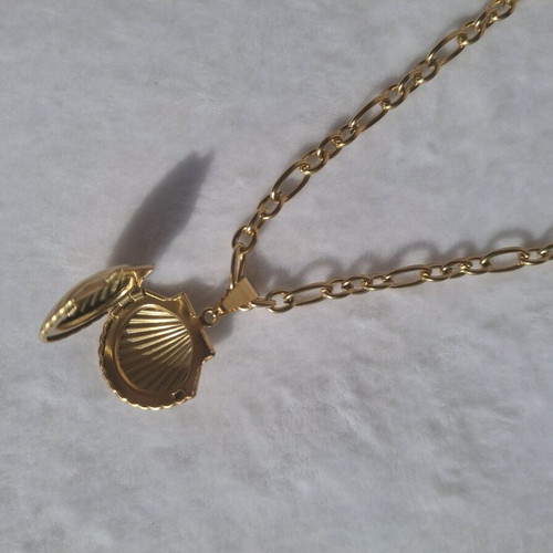 Coquette gold stainless steel necklace like new with shell pendant