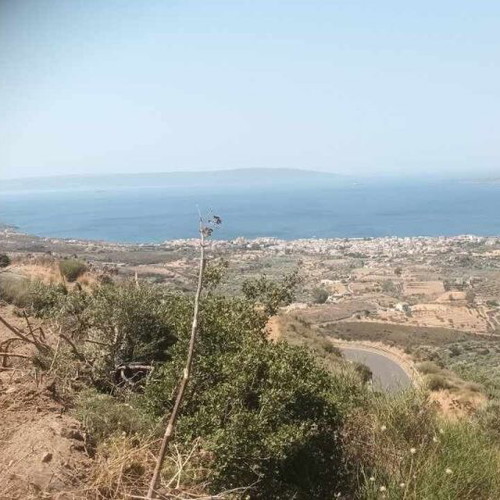 Buildable agricultural land 2,030 sqm in Mesochori Voion Laconia with view
