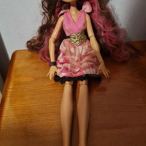 Ever After High Briar Beauty doll used with accessories