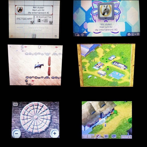 Horse and Foal: My Riding Stables Nintendo DS used game