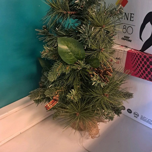 Small Christmas tree used