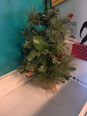 Small Christmas tree used