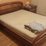 Double bed used with mattress