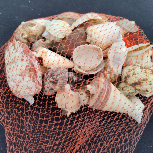 Dichtaki with seashells used