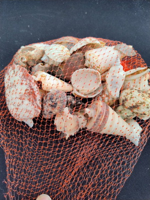 Dichtaki with seashells used