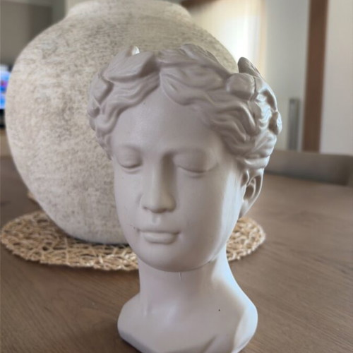 Decorative planter used for plant