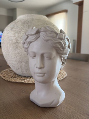 Decorative planter used for plant