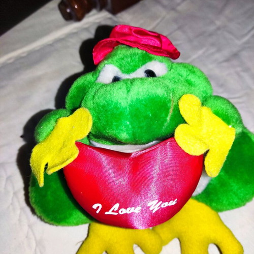 Plush frog small used with I love you heart