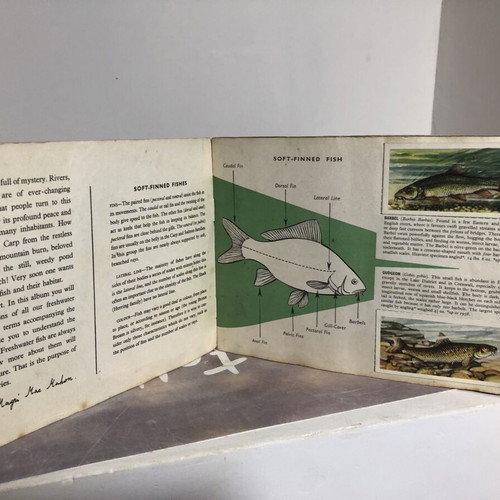 Vintage Brooke Bond Tea cards Freshwater Fish complete set used