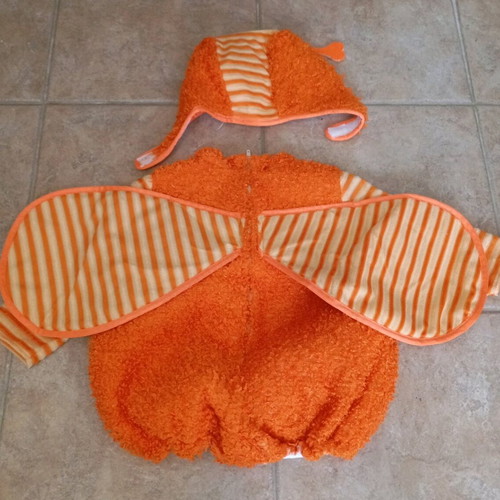 Carnival costume ladybug 2 years like new