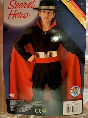 Zorro Costume No6 like new with free accessories
