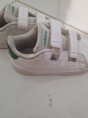 Adidas kids' sneakers size 26, white and green