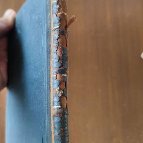 Degeneration Max Nordau used, translated by Angelos Vlachos, 1911