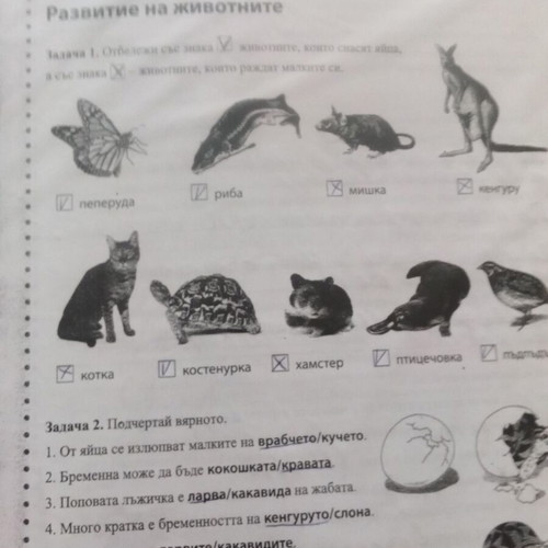 Folder with tests used, assorted