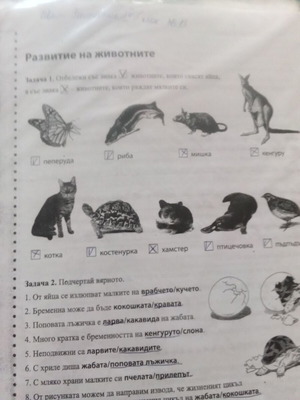 Folder with tests used, assorted