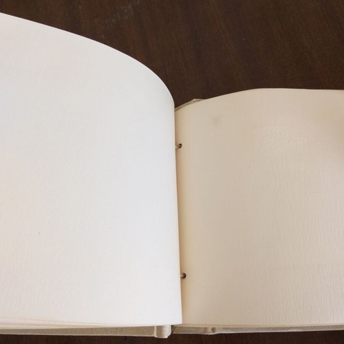 Wedding photo album used, 1960s
