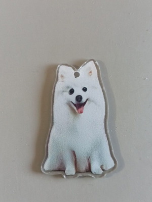 Acrylic double-sided dog keychain No4 new