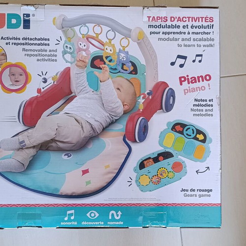 Ludi 3 in 1 Activity Gym and Walker New in Box