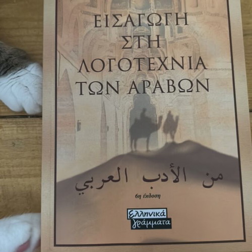 Introduction to Arabic Literature book like new