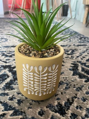 Decorative ceramic with plant new