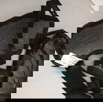  ΠΡΟΣΤΑΤΕΥΤΙΚΌ Καρπού για δικυκλιστές
