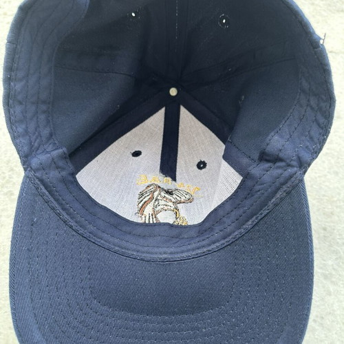 124 P.V.E. Hat like new, blue, one size