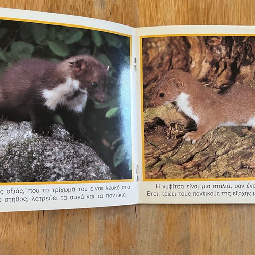 Set of 3 small books about European fauna like new