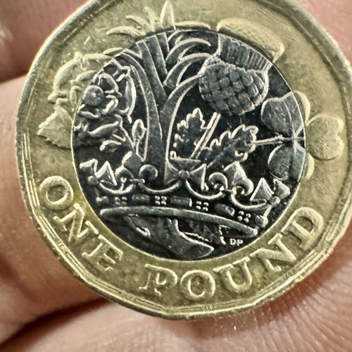 One Pound 2017 coin in excellent condition