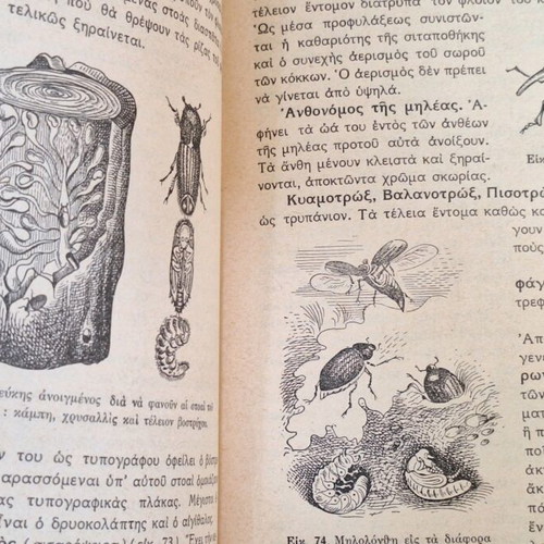 Zoology used, first edition 1950 by Panagiotis G. Tsilithras