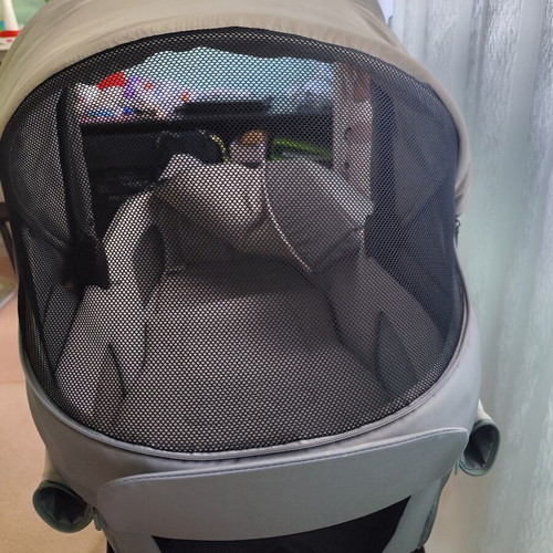 Inglesina Electa port bebe khaki with mattress like new