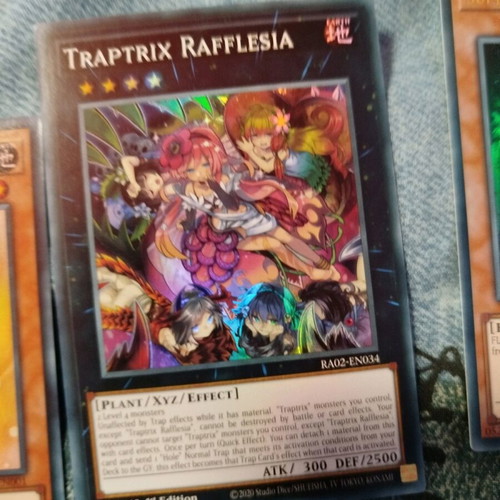 Yu-Gi-Oh 8-Card Package New with Popular Cards