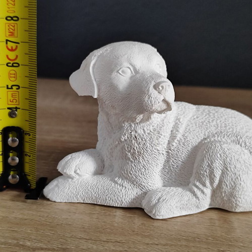 Ceramic Labrador Dog decorative used
