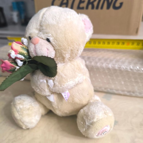 Teddy Bear with Flowers like new TDB1008