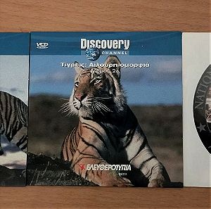 Τίγρεις  Discovery - National Geographic ντοκυμαντέρ