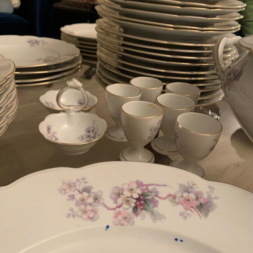 MZ Altrohlaou CM-R porcelain antique dinnerware set used, 55 pieces