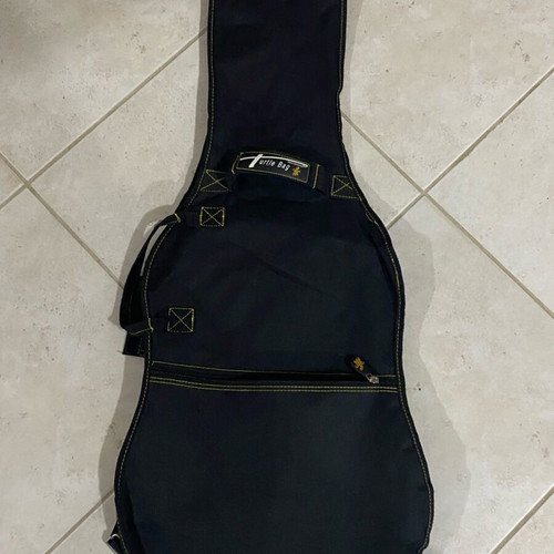 Electric Guitar + Case + Stand