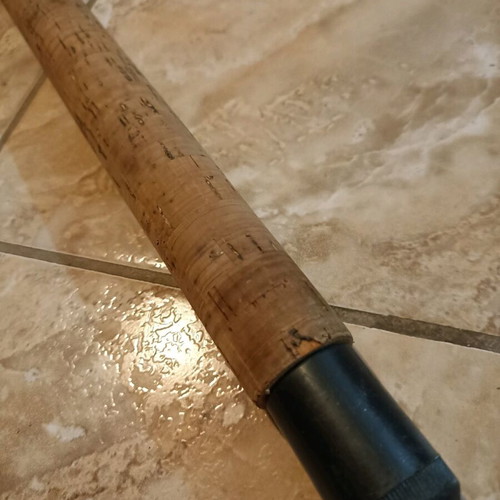 Zebco Praktica DX-60 Fishing Rod, 40-60