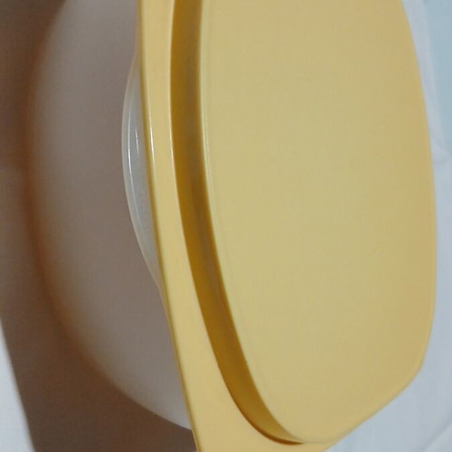 Tupperware CheeSmart Small Cheese Container like new with CondensControl filter
