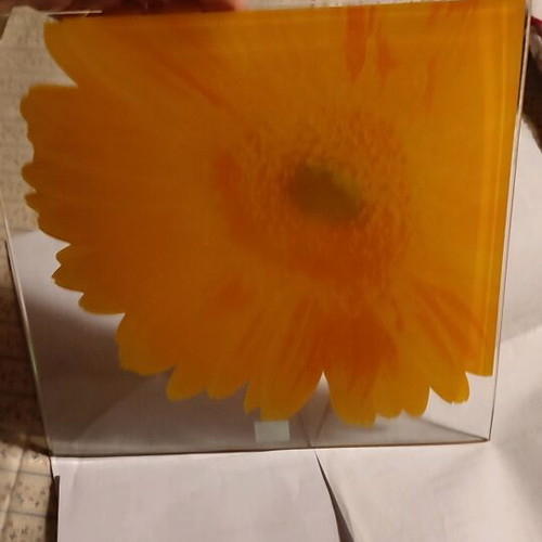 Square decorative LEONARDO crystal plate with gerbera design like new