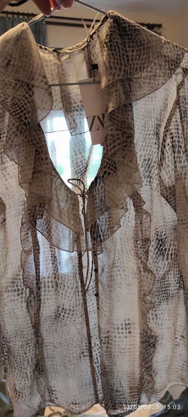 Πουκάμισο διαφάνεια snake print Zara