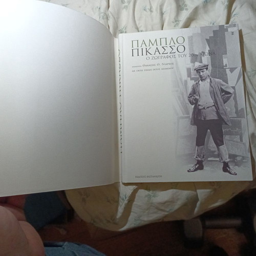 Pablo Picasso: The Painter of the 20th Century book