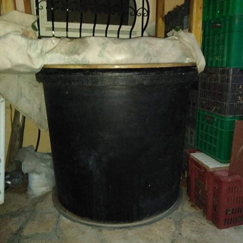 Winery equipment used, complete set