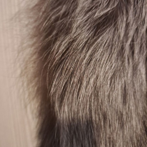 Fur sleeveless vest natural fox fur like new, sizes S and M, black with silver