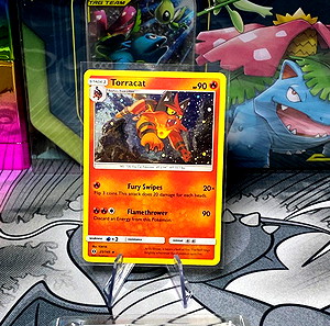 Pokemon holo card Torracat  sun&moon era