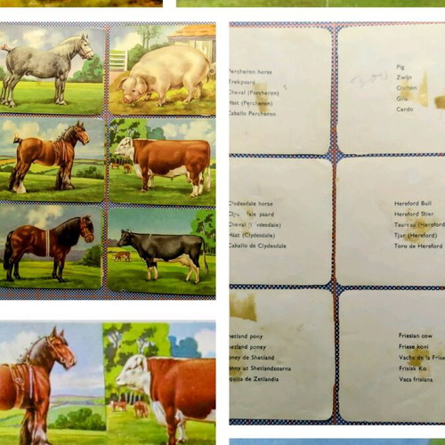 Vintage paper scraps with farm animals used, set of 6 pieces